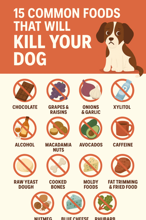 15 Common Foods That Can Kill Your Dog (And What to Do Instead)