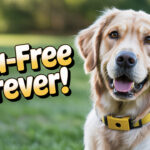 How Can You Combine a Safe Flea Collar with Other Flea Prevention Methods for Maximum Protection How Can You Combine a Safe Flea Collar with Other Flea Prevention Methods for Maximum Protection