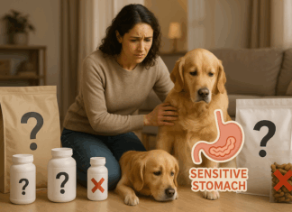 Top 5 Common Mistakes Dog Owners Make When Choosing Products for Sensitive Stomachs