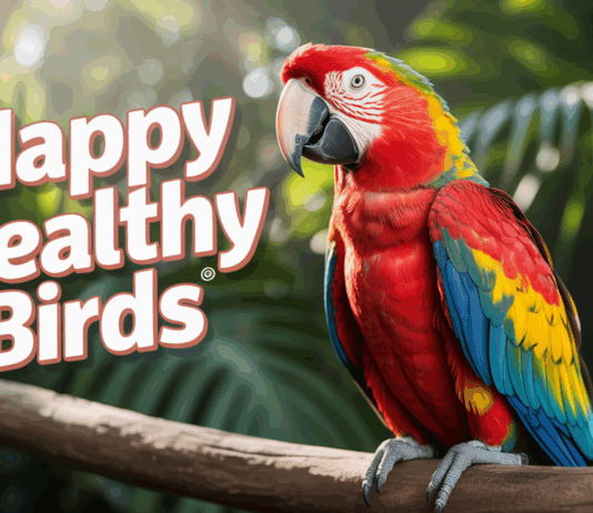 The Ultimate Guide to Bird Care: Expert Tips for Bird Owners The Ultimate Guide to Bird Care: Expert Tips for Bird Owners