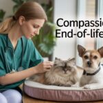 Mobile Dog and Cat Euthanasia Services: Compassionate End-of-Life Care