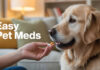 Pet Medication Management: Tips for Administering Pills and Liquids