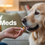 Pet Medication Management: Tips for Administering Pills and Liquids Pet Medication Management: Tips for Administering Pills and Liquids