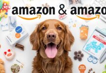 The Ultimate Guide to Choosing the Best Dog DNA Test Kit on Amazon in 2026