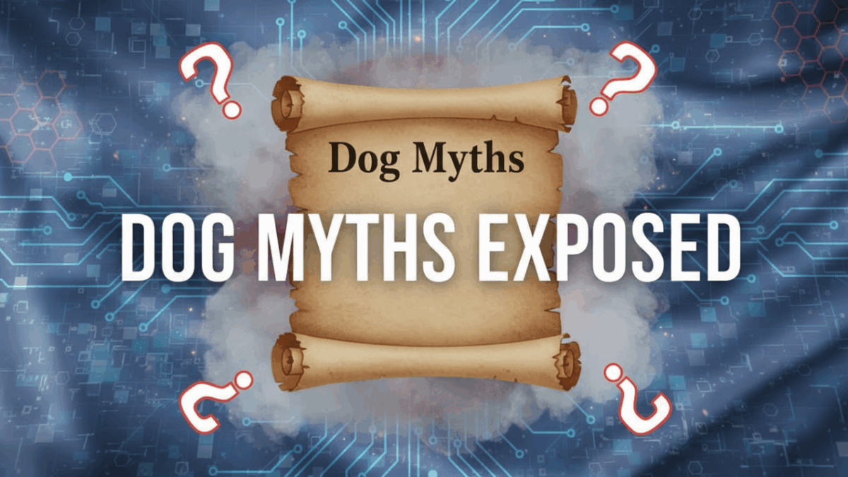 10 Common Dog Myths You Should Stop Believing Today!