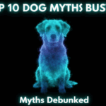 10 Common Dog Myths You Should Stop Believing Today! 10 Common Dog Myths You Should Stop Believing Today!