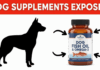 Dog Fish Oil & Dog Omega‑3 Supplements: What Every Dog Owner Should Know
