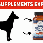 Dog Fish Oil & Dog Omega‑3 Supplements: What Every Dog Owner Should Know Dog Fish Oil & Dog Omega‑3 Supplements: What Every Dog Owner Should Know
