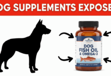 Dog Fish Oil & Dog Omega‑3 Supplements: What Every Dog Owner Should Know Dog Fish Oil & Dog Omega‑3 Supplements: What Every Dog Owner Should Know
