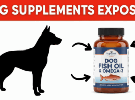 Dog Fish Oil & Dog Omega‑3 Supplements: What Every Dog Owner Should Know Dog Fish Oil & Dog Omega‑3 Supplements: What Every Dog Owner Should Know