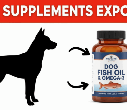Dog Fish Oil & Dog Omega‑3 Supplements: What Every Dog Owner Should Know Dog Fish Oil & Dog Omega‑3 Supplements: What Every Dog Owner Should Know