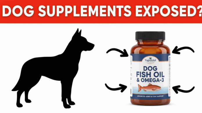 Dog_Supplement_Guide_1df94512-927f-4663-8506-ca65c9fa84ce Dog Fish Oil & Dog Omega‑3 Supplements: What Every Dog Owner Should Know