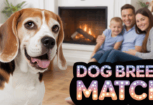 How to Choose the Right Dog Breed for Your Family: A Complete Guide How to Choose the Right Dog Breed for Your Family: A Complete Guide