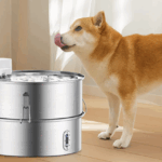 Quietly Nurture Your Furry Friends Quietly Nurture Your Furry Friends