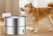 Quietly Nurture Your Furry Friends Quietly Nurture Your Furry Friends