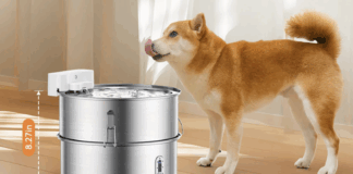 Quietly Nurture Your Furry Friends Quietly Nurture Your Furry Friends