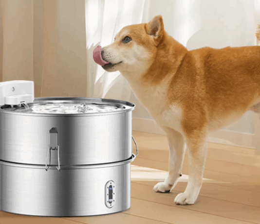 Quietly Nurture Your Furry Friends Quietly Nurture Your Furry Friends