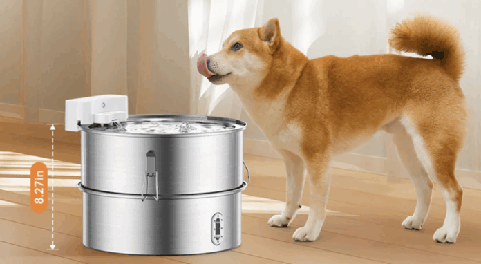 Quietly Nurture Your Furry Friends