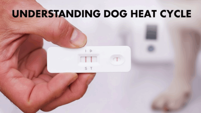 Dog_Reproduction_Guide_122cdf68-0c04-42a7-b6ca-88c63ba7ca56 Dog Pregnancy & Heat Cycle Guide: Timelines, Symptoms, Costs & Vet Tips (2025 Edition)