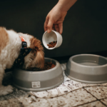 Eco-Friendly Hemp Dog Toys: Safe, Durable, and Sustainable Fun for Your Pup Eco-Friendly Hemp Dog Toys: Safe, Durable, and Sustainable Fun for Your Pup