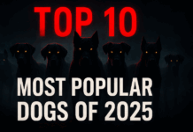Top 10 Most Popular Dog Breeds in 2025 Top 10 Most Popular Dog Breeds in 2025