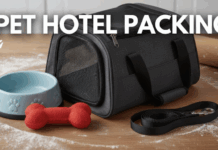 What Should I Pack When Sending My Pet to a Hotel? What Should I Pack When Sending My Pet to a Hotel?