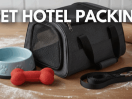 What Should I Pack When Sending My Pet to a Hotel? What Should I Pack When Sending My Pet to a Hotel?