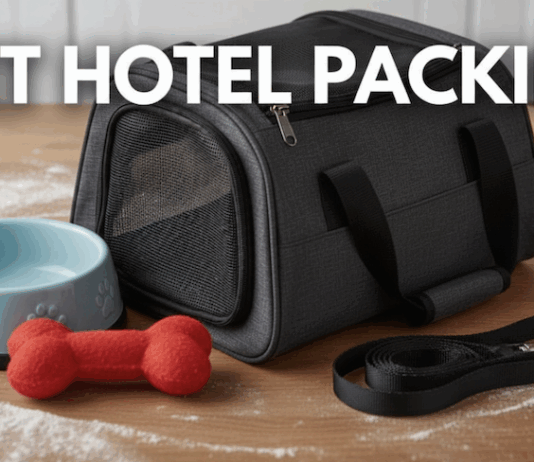 What Should I Pack When Sending My Pet to a Hotel? What Should I Pack When Sending My Pet to a Hotel?