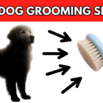 Grooming Anxious Dogs Without the Stress Grooming Anxious Dogs Without the Stress
