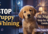 How to Stop Puppy Whining in the Crate at Night: A Step-by-Step Guide for New Owners How to Stop Puppy Whining in the Crate