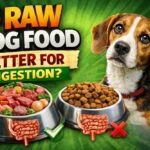 Is Raw Dog Food Better for Digestion? Is Raw Dog Food Better for Digestion?