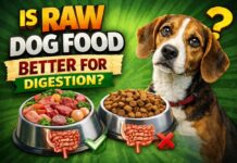 Is Raw Dog Food Better for Digestion? Is Raw Dog Food Better for Digestion?