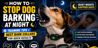How to Stop Dog Barking at Night: Training Tips + Best Bark Collars for Quick Results How to Stop Dog Barking at Night: Training Tips + Best Bark Collars for Quick Results
