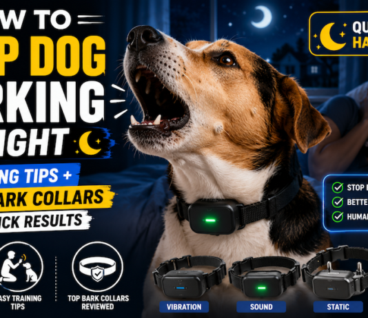 How to Stop Dog Barking at Night: Training Tips + Best Bark Collars for Quick Results How to Stop Dog Barking at Night: Training Tips + Best Bark Collars for Quick Results