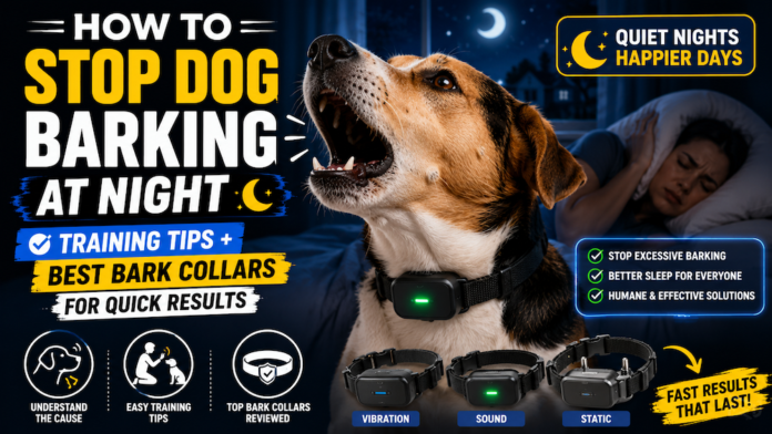 How to Stop Dog Barking at Night: Training Tips + Best Bark Collars for Quick Results