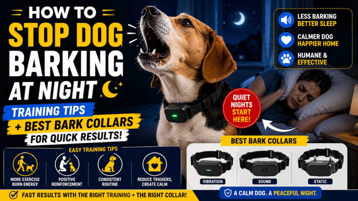 How to Stop Dog Barking at Night