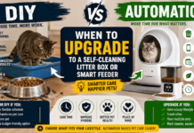 DIY vs Automatic: When to Upgrade to a Self-Cleaning Litter Box or Smart Feeder DIY vs Automatic: When to Upgrade to a Self-Cleaning Litter Box or Smart Feeder