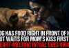 Dog Has Food Right in Front of Him but Waits for Mom’s Kiss First – Heart-Melting Ritual Goes Viral Dog Has Food Right in Front of Him but Waits for Mom’s Kiss First