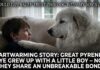 Heartwarming Story: Great Pyrenees Skye Grew Up With a Little Boy – Now They Share an Unbreakable Bond Heartwarming Story: Great Pyrenees Skye Grew Up With a Little Boy – Now They Share an Unbreakable Bond