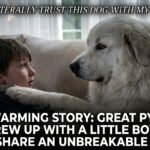 Heartwarming Story: Great Pyrenees Skye Grew Up With a Little Boy – Now They Share an Unbreakable Bond Heartwarming Story: Great Pyrenees Skye Grew Up With a Little Boy – Now They Share an Unbreakable Bond