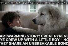 Heartwarming Story: Great Pyrenees Skye Grew Up With a Little Boy – Now They Share an Unbreakable Bond Heartwarming Story: Great Pyrenees Skye Grew Up With a Little Boy – Now They Share an Unbreakable Bond