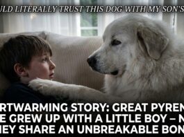 Heartwarming Story: Great Pyrenees Skye Grew Up With a Little Boy – Now They Share an Unbreakable Bond Heartwarming Story: Great Pyrenees Skye Grew Up With a Little Boy – Now They Share an Unbreakable Bond