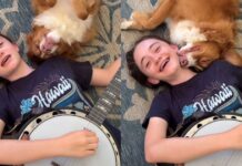 Dog Snuggles Owner Through Every Note & Doesn’t Mind a Single Mistake – The Sweetest Supportive Pup Dog Snuggles Owner Through Every Note & Doesn’t Mind a Single Mistake – The Sweetest Supportive Pup