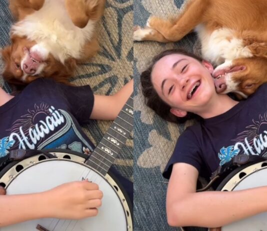 Dog Snuggles Owner Through Every Note & Doesn’t Mind a Single Mistake – The Sweetest Supportive Pup Dog Snuggles Owner Through Every Note & Doesn’t Mind a Single Mistake – The Sweetest Supportive Pup