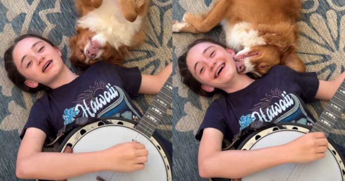Dog Snuggles Owner Through Every Note & Doesn’t Mind a Single Mistake – The Sweetest Supportive Pup Dog Snuggles Owner Through Every Note & Doesn’t Mind a Single Mistake – The Sweetest Supportive Pup