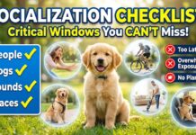 Puppy Socialization Checklist: Critical Windows, Exposures, and Common Mistakes to Avoid Puppy Socialization Checklist: Critical Windows, Exposures, and Common Mistakes to Avoid