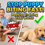 How to Stop Puppy Biting and Nipping: Positive Techniques That Work Fast How to Stop Puppy Biting and Nipping: Positive Techniques That Work Fast