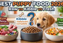 Best Puppy Food for 2026: Raw, Kibble, or Fresh? Complete Buying Guide Best Puppy Food for 2026: Raw, Kibble, or Fresh? Complete Buying Guide