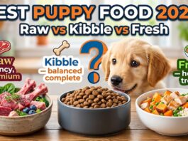 Best Puppy Food for 2026: Raw, Kibble, or Fresh? Complete Buying Guide Best Puppy Food for 2026: Raw, Kibble, or Fresh? Complete Buying Guide