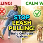 Leash Training a Puppy: How to Stop Pulling and Build Confident Walkers Leash Training a Puppy: How to Stop Pulling and Build Confident Walkers